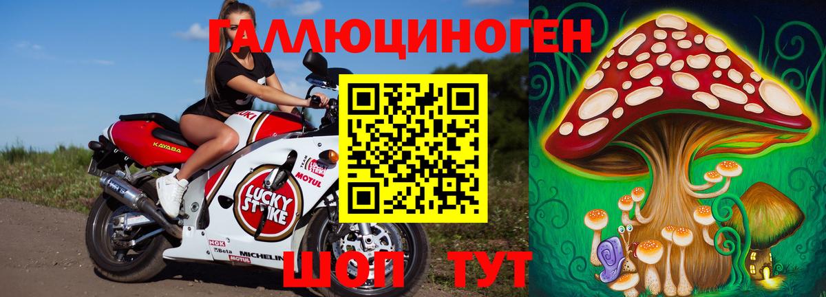 Псилоцибиновые грибы Psilocybine cubensis  Вход с VPN  Мирный 