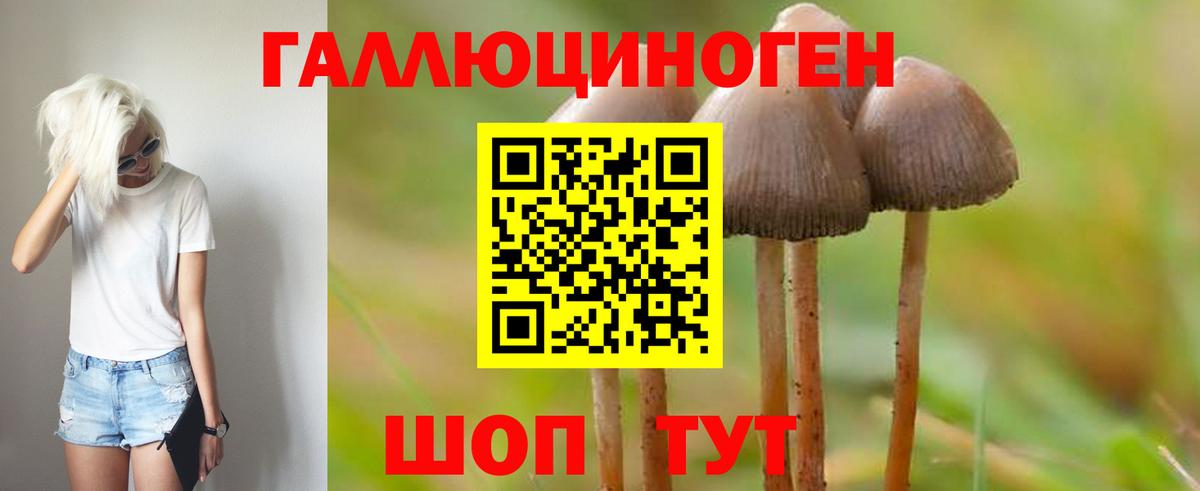 Псилоцибиновые грибы мицелий Мирный